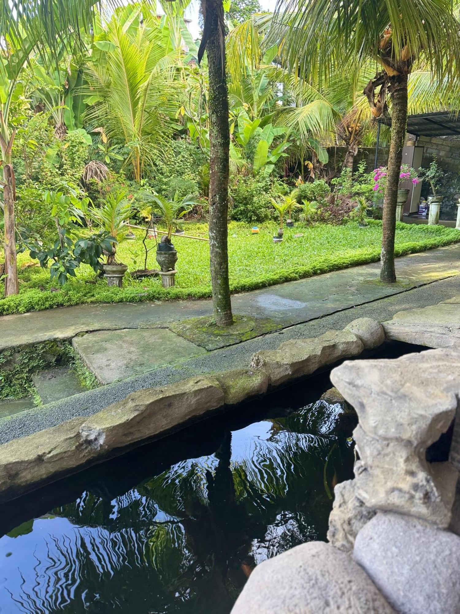 Pineapple House Hotel Ubud  Exterior photo